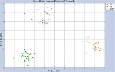 A flavoromics approach to investigate the effect of Saskatoon berry powder on the sensory attributes, acceptability, volatile components, and electronic nose responses of a low-fat frozen yogurt